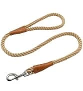 Long Dog Leash — 10/15/20/30/50FT Dog Training Leash with Soft Handle — collection imagery