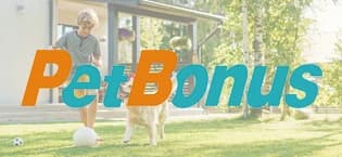 2-Pack Silicone Collapsible Dog Bowls — collection imagery