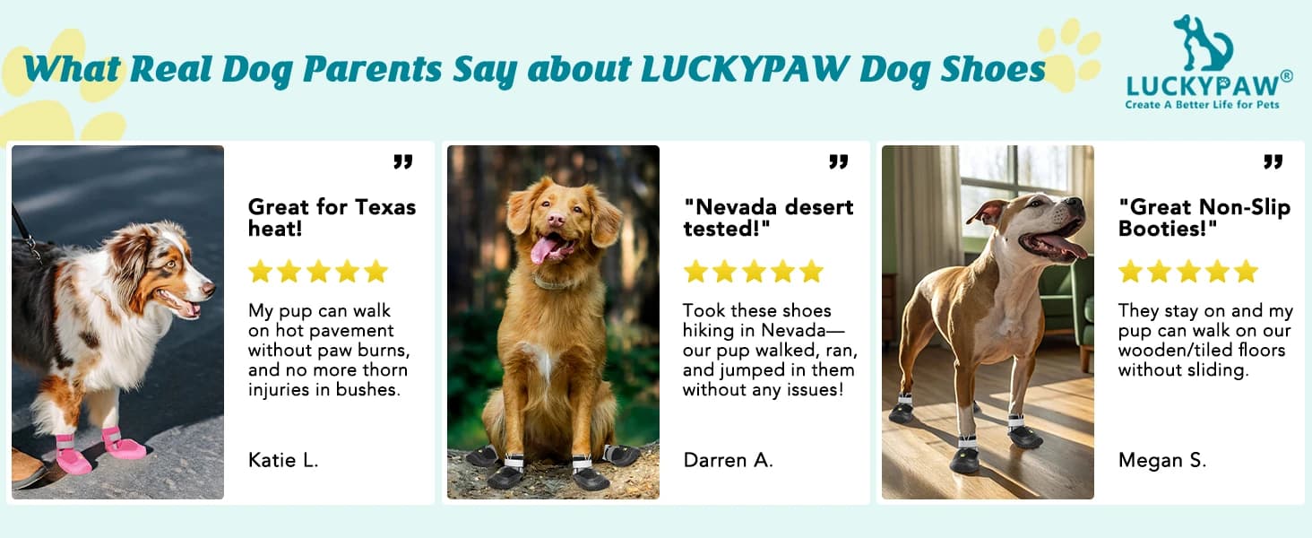 Dog Shoes for Large Medium Dogs — Dog Boots for Hot Pavement Size6 — product details