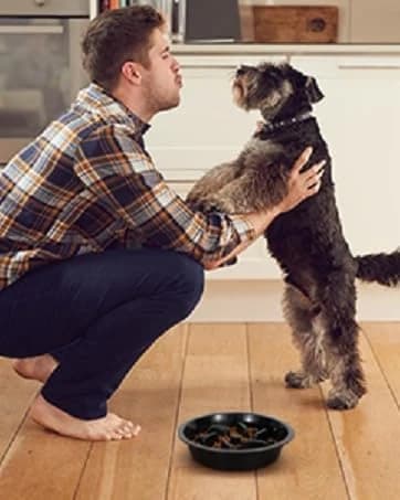 Dog Slow Feeder - Reduce Slip Puzzle Bowl for Raised Pet Feeders - Interactive Bloat Stop Elevated Diners — collection imagery