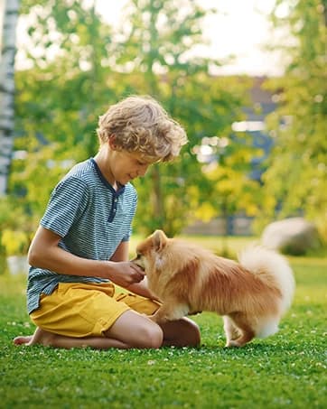 2-Pack Silicone Collapsible Dog Bowls — collection imagery