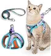 Adjustable Cat Harness and Leash Set — Escape Proof — collection imagery