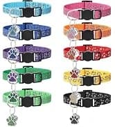 2 Pack Cat Harness and Leash with Collar Set — collection imagery