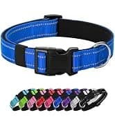 Reflective Dog Collar — Adjustable Nylon for Medium Dogs — collection imagery