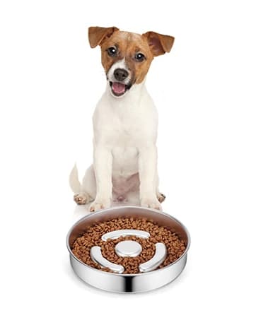 Slow Feeder Dog Bowl Stainless Steel — Metal Non-Slip Dog Food Bowls — collection imagery