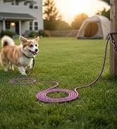 Long Dog Leash — 10/15/20/30/50FT Dog Training Leash with Soft Handle — collection imagery