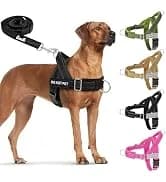 Small Dog Harness and Leash Set — collection imagery