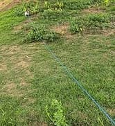 Long Dog Leash — 10/15/20/30/50FT Dog Training Leash with Soft Handle — collection imagery