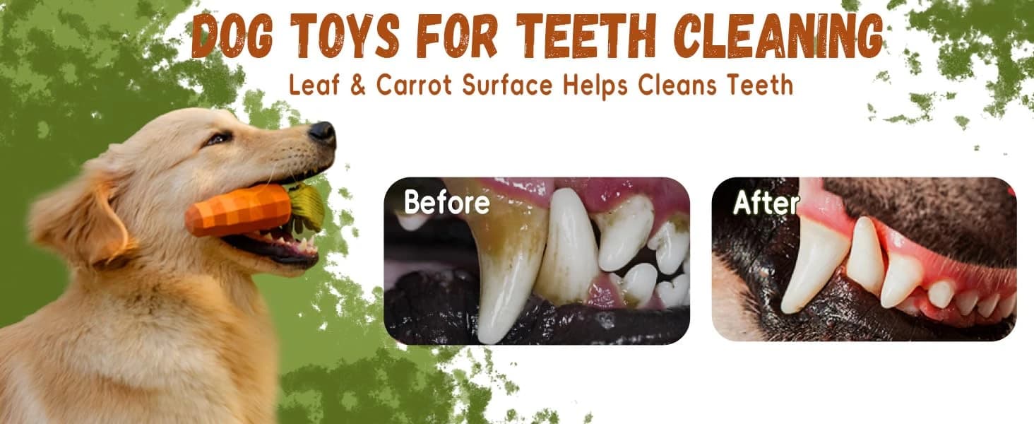 Dog Chew Toys for Aggressive Chewers — Rubber Squeaky Dog Toys — collection imagery