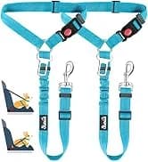 Small Dog Harness and Leash Set — collection imagery