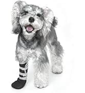 Dog Recovery Boot Wound Injured Paws Protector Dog Shoes — 2PCS — collection imagery