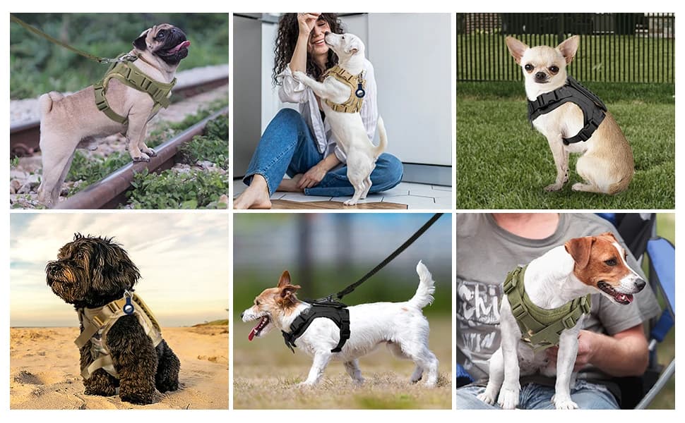 Tactical Dog Harness for Small Dogs with Handle — Military Service Dog Vest and Leash Set for Outdoor Training — Tactical dog harness for small dog Supplied with Airtag protective case and dog leash.