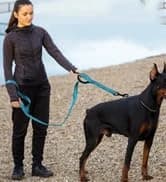 Large Collapsible Dog Bowls 2 Pack — 34oz Foldable Dog Travel Bowl — collection imagery