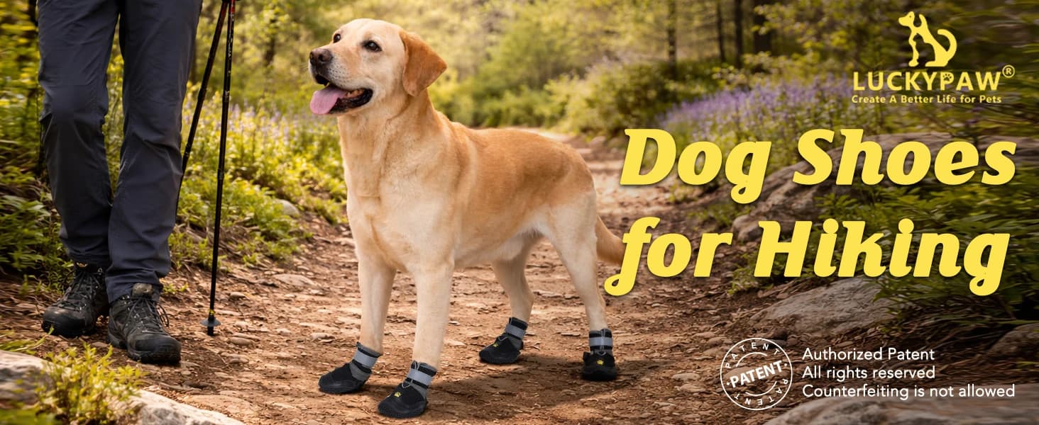 Dog Shoes for Large Medium Dogs — Dog Boots for Hot Pavement Size6 — product details