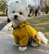 Dog Raincoat — Waterproof Dog Rain Jacket with Hood — collection imagery