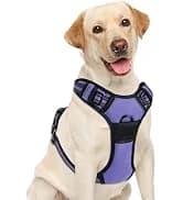 Dog Harness — No Pull Pet Vest for Large Dog — collection imagery