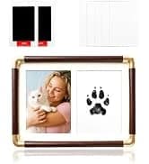 Cat Harness and Leash with Bat Wings Escape Proof Adjustable — collection imagery