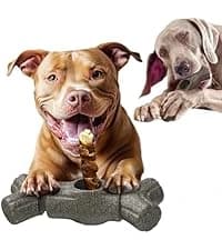 Tug of War Dog Toy — Crinkle Dog Toys for Large Dog — collection imagery
