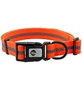 Waterproof Long Dog Leash Recall Training Lead 5 10 16 30 50 Foot for Large Medium Small Dogs Outdoor Training — collection imagery