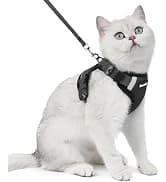 Cat Harness and Leash Set — Adjustable Pet Straps — collection imagery