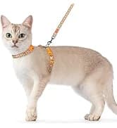 Cat Harness and Leash Set — Adjustable Pet Straps — collection imagery
