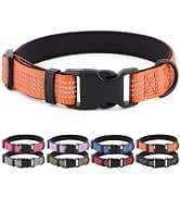 Long Dog Leash — 10/15/20/30/50FT Dog Training Leash with Soft Handle — collection imagery