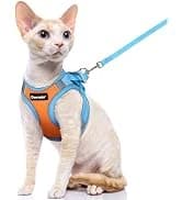 Cat Harness and Leash Set — Adjustable Pet Straps — collection imagery