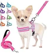 Small Dog Harness and Leash Set — collection imagery