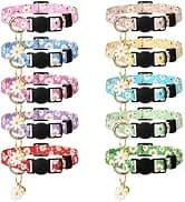 2 Pack Cat Harness and Leash with Collar Set — collection imagery