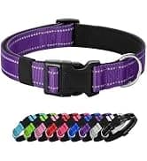 Reflective Dog Collar — Adjustable Nylon for Medium Dogs — collection imagery