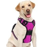 Dog Harness — No Pull Pet Vest for Large Dog — collection imagery