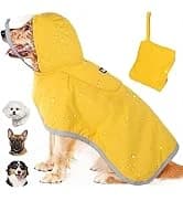 Small Dog Harness and Leash Set — collection imagery