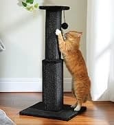 Cat Tunnel S Shape Cat Tunnels for Large and Indoor Cats 51”Long — collection imagery