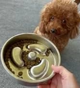 Lick Mat for Dogs and Cats — Double-Wall Stainless Steel — collection imagery
