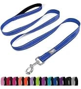 Reflective Dog Collar — Adjustable Nylon for Medium Dogs — collection imagery