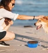 Large Collapsible Dog Bowls 2 Pack — 34oz Foldable Dog Travel Bowl — collection imagery