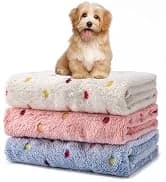 Dog Harness — No Pull Pet Vest for Large Dog — collection imagery