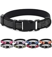 Long Dog Leash — 10/15/20/30/50FT Dog Training Leash with Soft Handle — collection imagery