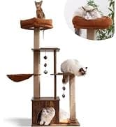 Cat Scratcher Mat — 23.6 X 15.7 Inch Natural Sisal Cat Scratch Mat — collection imagery