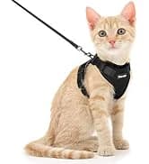 Cat Harness and Leash Set — Adjustable Pet Straps — collection imagery