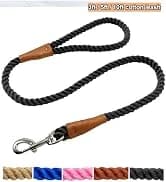 Long Dog Leash — 10/15/20/30/50FT Dog Training Leash with Soft Handle — collection imagery