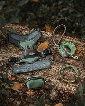 PU Leather Dog Collar for Medium Dogs — Soft Nylon Lining — collection imagery
