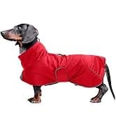 Dog Zip Up Raincoat with Reflective Buttons — collection imagery