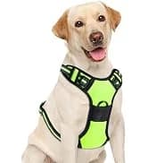Dog Harness — No Pull Pet Vest for Large Dog — collection imagery