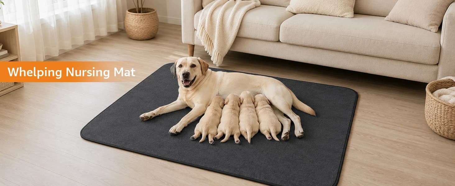 Washable Pee Pads for Dogs — 2 Pack Fast Absorbent Dog Mats,72"x72" — collection imagery