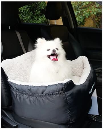 Cat Litter Mat 47" x 35" XL — Washable Urine-Proof Non-Slip Gray — collection imagery