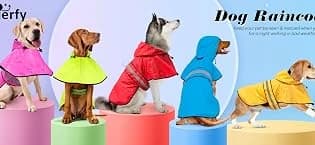 Reflective Dog Rain Coat - Waterproof Adjustable Pet Raincoat Jacket — Lightweight Hooded Dog Rain Coat Poncho — collection imagery