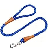 Long Dog Leash — 10/15/20/30/50FT Dog Training Leash with Soft Handle — collection imagery