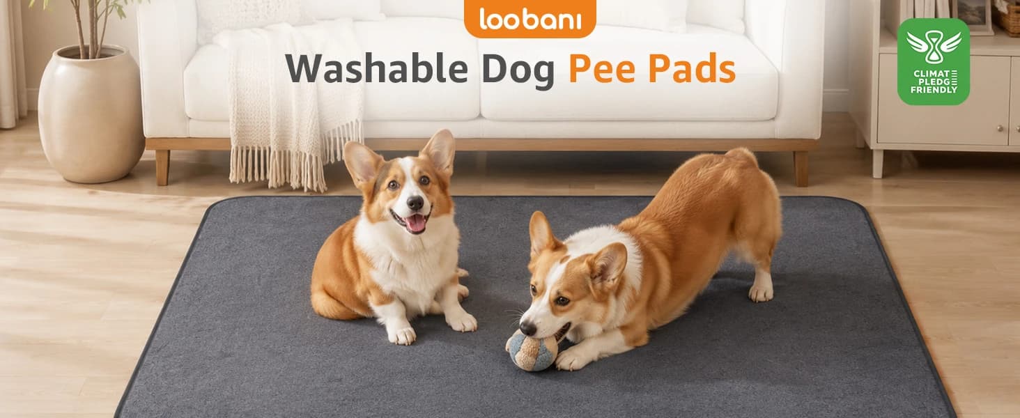 Washable Pee Pads for Dogs — 2 Pack Fast Absorbent Dog Mats,72"x72" — product details