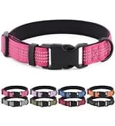 Long Dog Leash — 10/15/20/30/50FT Dog Training Leash with Soft Handle — collection imagery
